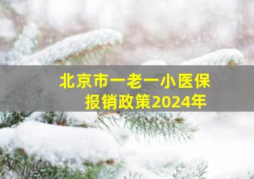 北京市一老一小医保报销政策2024年