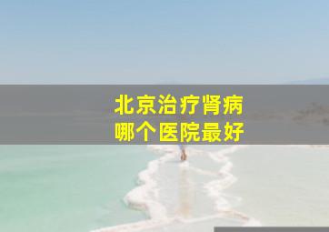 北京治疗肾病哪个医院最好