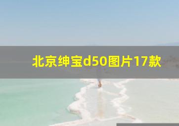 北京绅宝d50图片17款