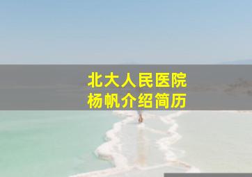 北大人民医院杨帆介绍简历