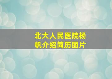 北大人民医院杨帆介绍简历图片