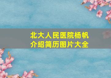 北大人民医院杨帆介绍简历图片大全