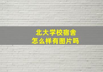 北大学校宿舍怎么样有图片吗