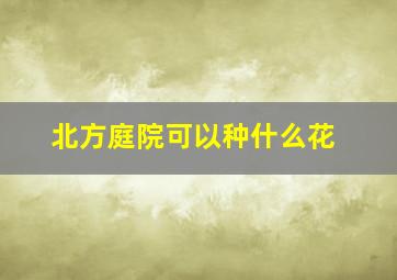 北方庭院可以种什么花