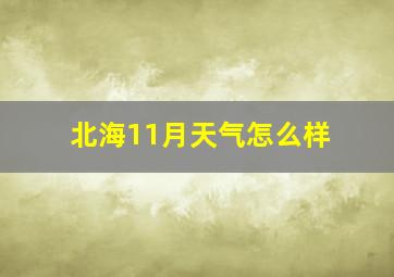 北海11月天气怎么样