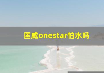 匡威onestar怕水吗