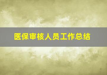 医保审核人员工作总结