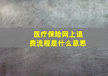 医疗保险网上退费流程是什么意思