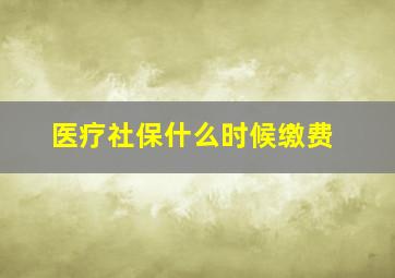 医疗社保什么时候缴费