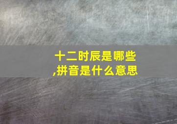 十二时辰是哪些,拼音是什么意思