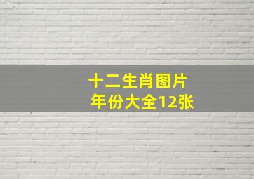 十二生肖图片年份大全12张