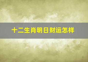 十二生肖明日财运怎样