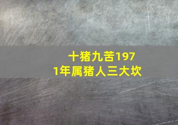 十猪九苦1971年属猪人三大坎