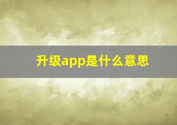 升级app是什么意思