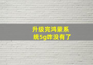 升级完鸿蒙系统5g咋没有了