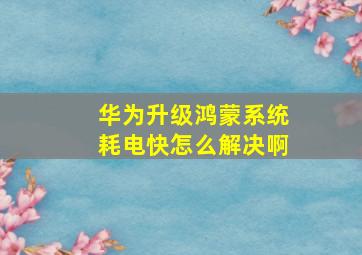 华为升级鸿蒙系统耗电快怎么解决啊