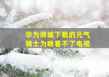 华为商城下载的元气骑士为啥看不了电视