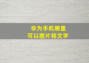 华为手机哪里可以图片转文字