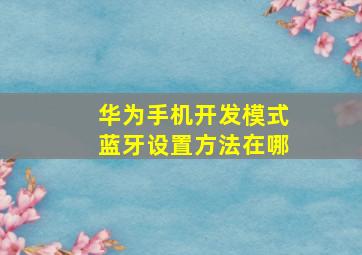 华为手机开发模式蓝牙设置方法在哪