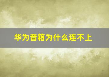 华为音箱为什么连不上