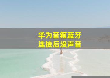 华为音箱蓝牙连接后没声音