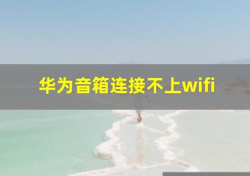 华为音箱连接不上wifi