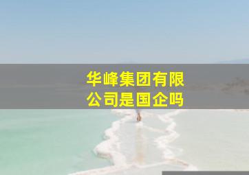 华峰集团有限公司是国企吗