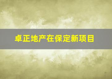 卓正地产在保定新项目