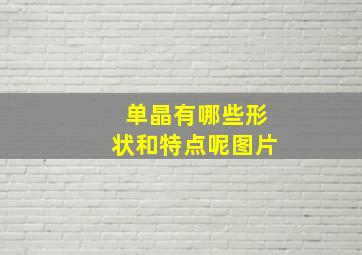 单晶有哪些形状和特点呢图片