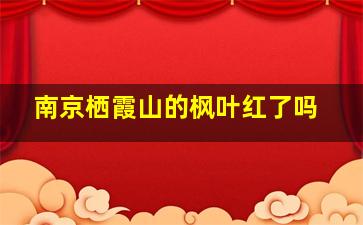 南京栖霞山的枫叶红了吗