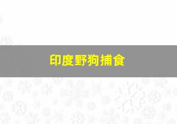 印度野狗捕食