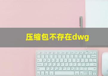 压缩包不存在dwg