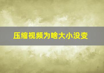 压缩视频为啥大小没变