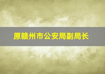 原赣州市公安局副局长