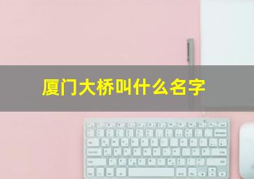 厦门大桥叫什么名字