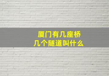 厦门有几座桥几个隧道叫什么