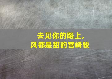 去见你的路上,风都是甜的宫崎骏