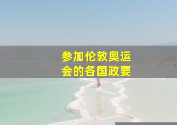 参加伦敦奥运会的各国政要