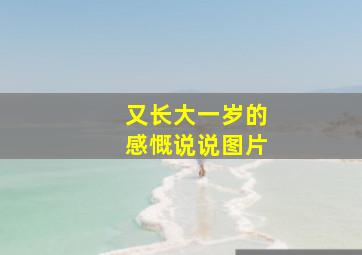 又长大一岁的感慨说说图片