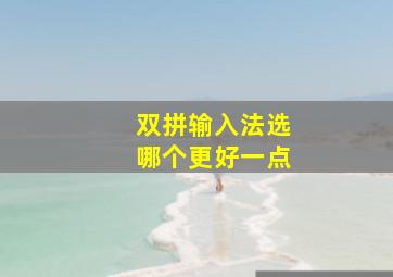 双拼输入法选哪个更好一点