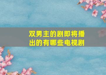 双男主的剧即将播出的有哪些电视剧