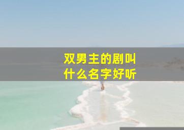 双男主的剧叫什么名字好听