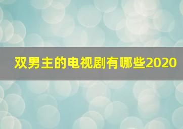 双男主的电视剧有哪些2020