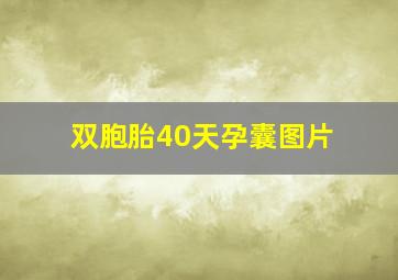 双胞胎40天孕囊图片