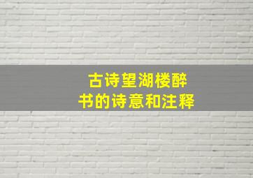 古诗望湖楼醉书的诗意和注释