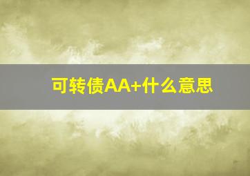 可转债AA+什么意思