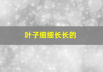 叶子细细长长的