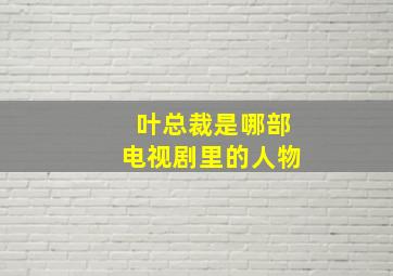 叶总裁是哪部电视剧里的人物