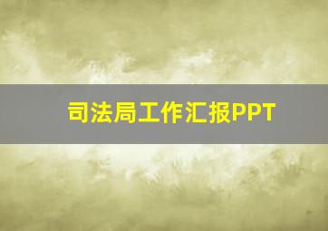 司法局工作汇报PPT