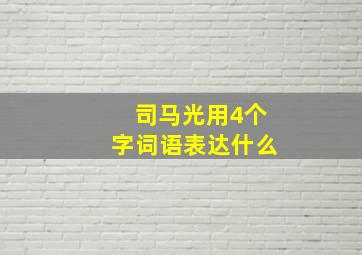 司马光用4个字词语表达什么